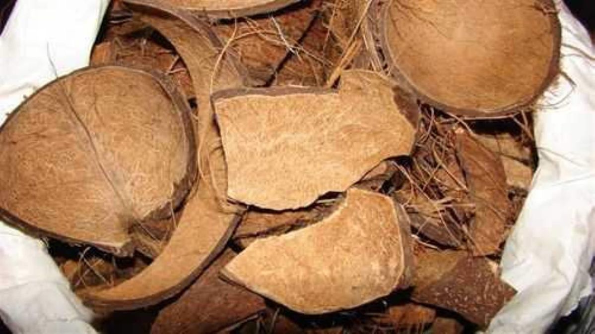 VSF202's tweet image. ♻️ Bulk Coconut Shell from Vietnam – used in charcoal, carbon, biofuel, and industrial fillers. Clean, sorted, and export-ready.
📦 Bulk bags | 📅 Delivery in 7–10 days
📩 export2@vietseafarm.com.vn | 📞 +84 347 499 738
#CoconutShell #IndustrialUse