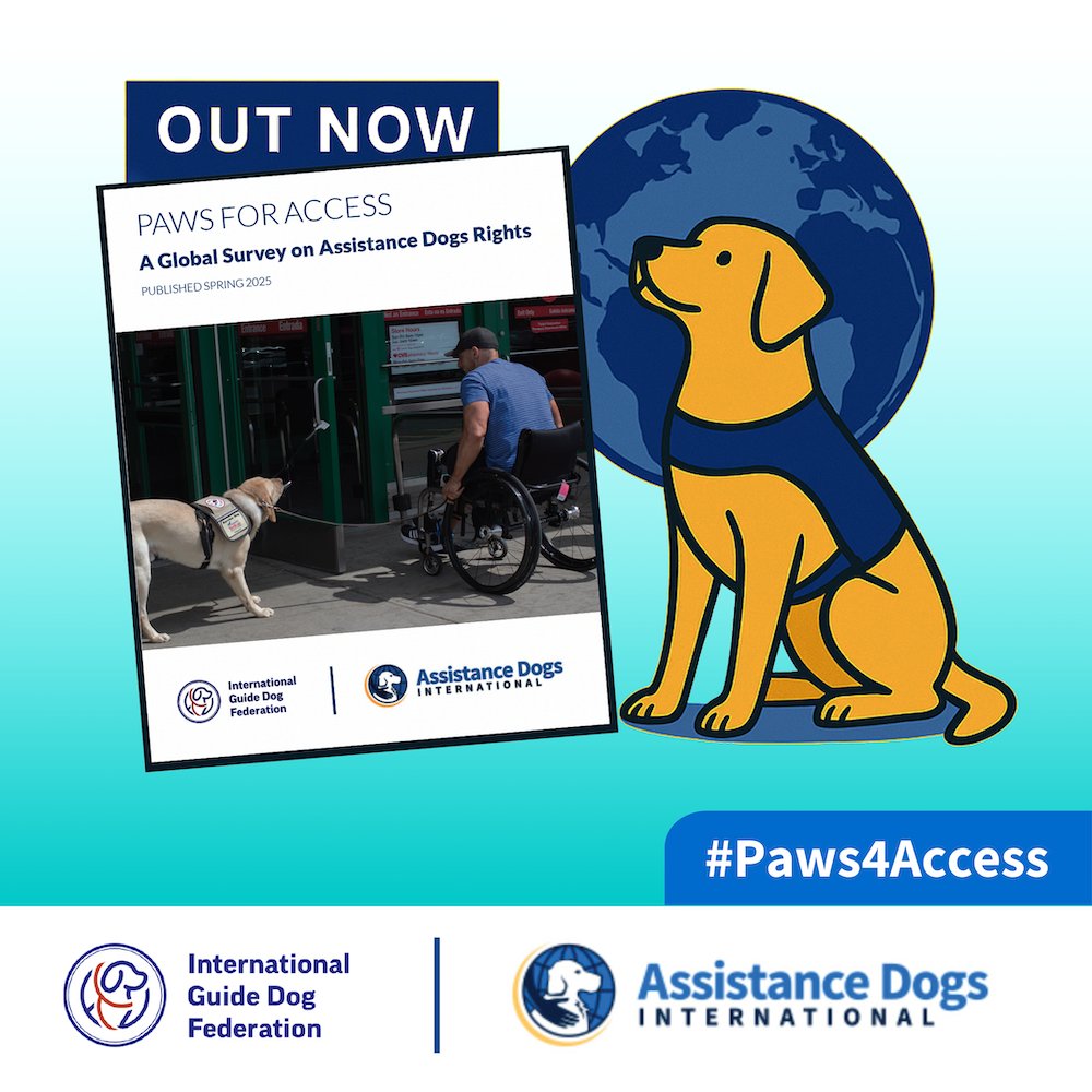 adiintl's tweet image. Being denied access hurts more than plans. It hurts dignity. 1 in 2 assistance dog users face public access refusals. It’s time for global change. Read the report: assistancedogsinternational.org/resources/paws… #Paws4Access #AccessMatters @ADIintl @IGDFDogs