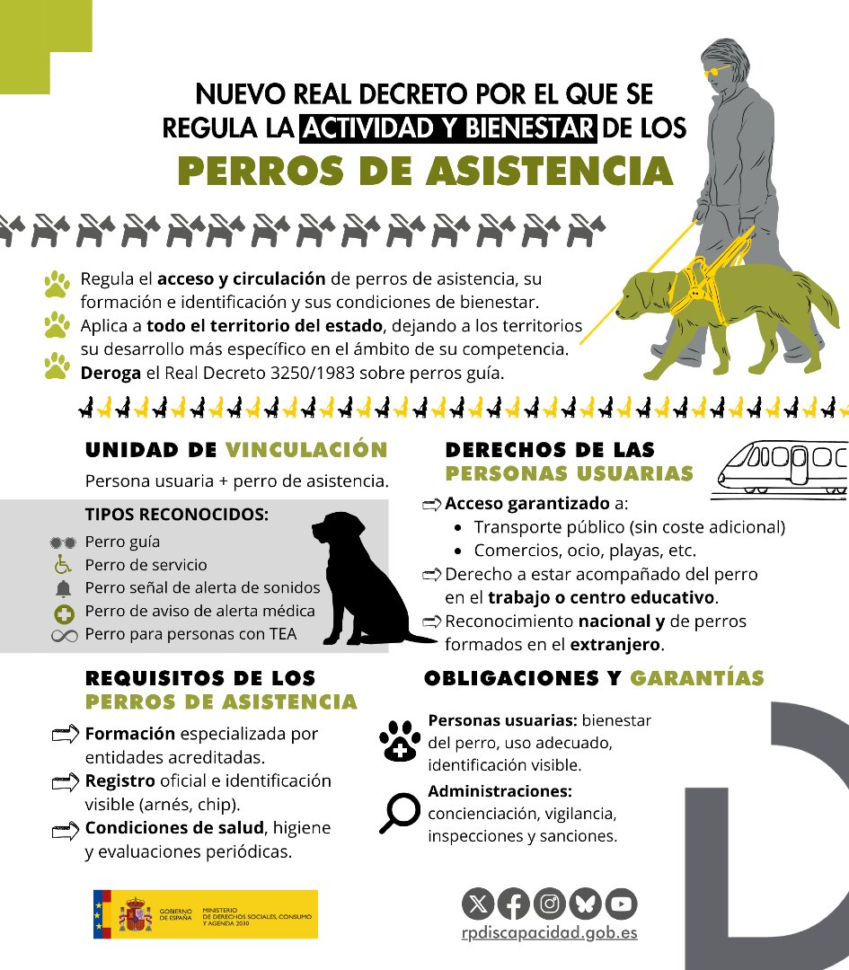 CentroAutismo's tweet image. #DíaMundialdelPerro
🐕🦺 Algunos #PerrosDeAsistencia están entrenados para apoyar a personas con #Autismo mejorando su #CalidadDeVida y #VidaIndependiente.
Compartimos la nueva regulación estatal que también respeta el bienestar de los animales.
🔗 f.mtr.cool/niqkjokrfz