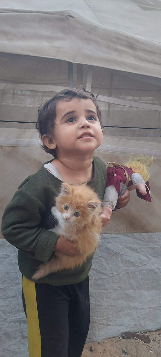MohsenHamad0's tweet image. 👧🍞 My little girl and the cat are hungry... 🐱💔
No bread 🥖, no flour 🌾, and no way out 🤲
We've searched everywhere for an alternative, but found nothing 😔
The children are crying 😢, their eyes begging with tears we can't answer 😞
All we have left is prayer 🙏
Oh Lord,…