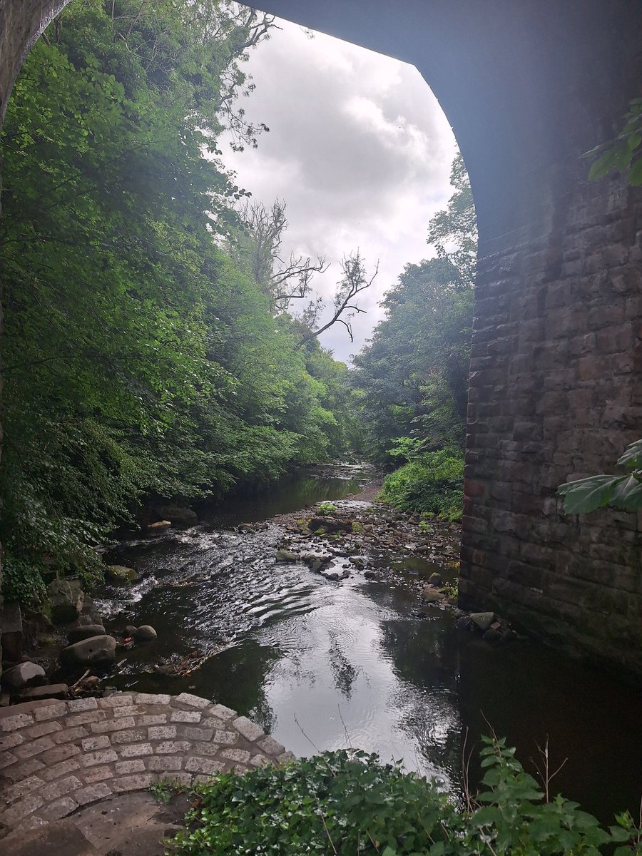 WOLCT's tweet image. Volunteering this week starts at Colinton. 

Paths to be trimmed back.
Litter to be cleared 
River to be waded for invasive species.

@Edinburgh_CC