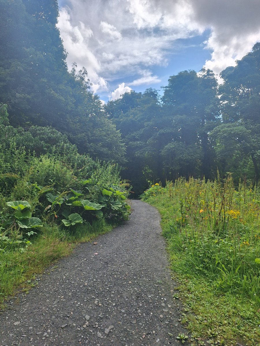 WOLCT's tweet image. Volunteering this week starts at Colinton. 

Paths to be trimmed back.
Litter to be cleared 
River to be waded for invasive species.

@Edinburgh_CC