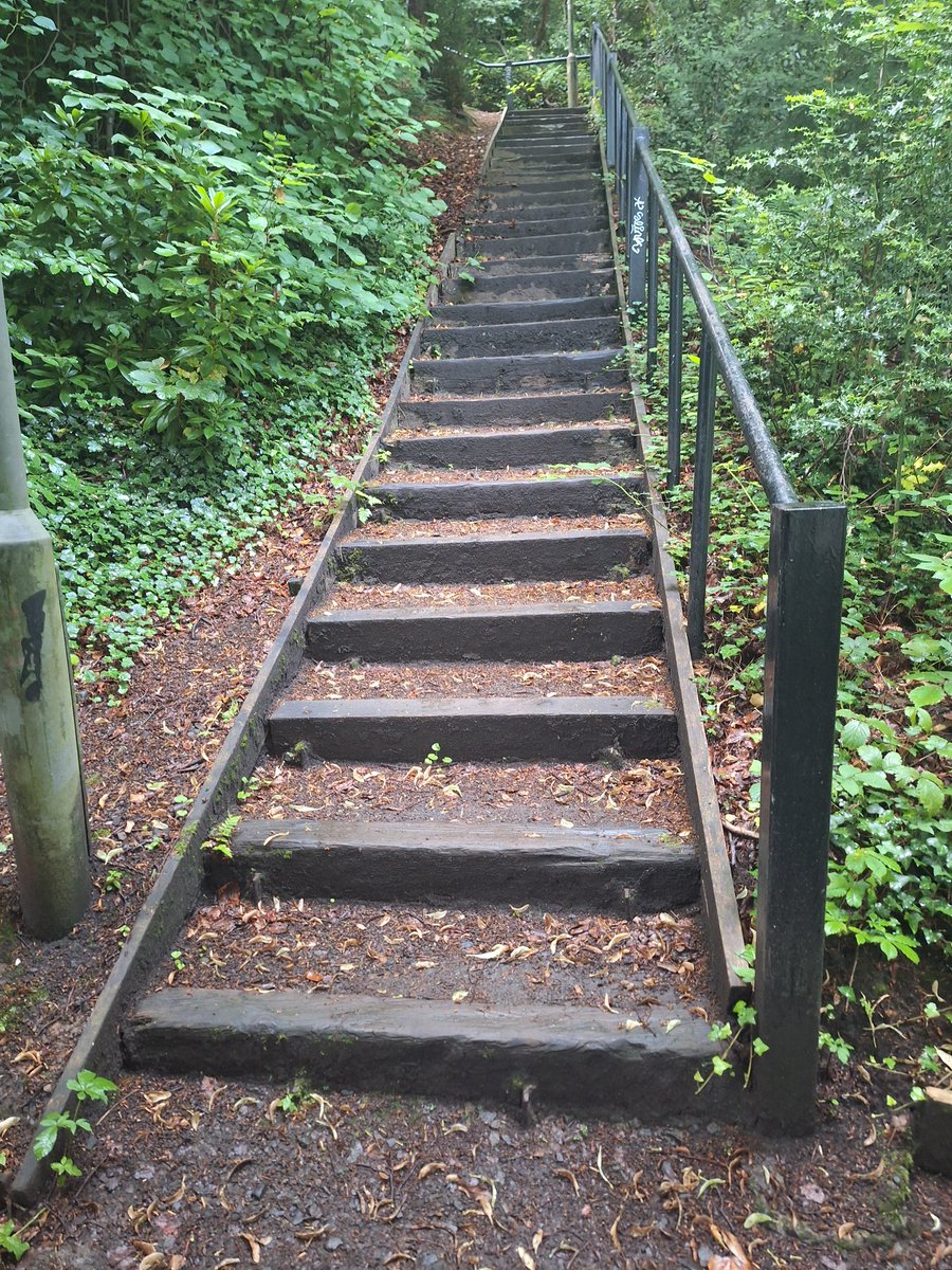 WOLCT's tweet image. Volunteering this week starts at Colinton. 

Paths to be trimmed back.
Litter to be cleared 
River to be waded for invasive species.

@Edinburgh_CC