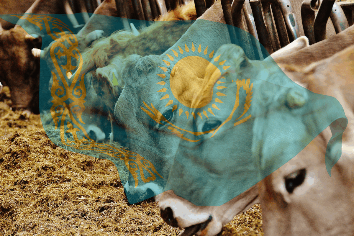 𝐂𝐡𝐢𝐧𝐚 𝐟𝐮𝐞𝐥𝐬 𝐟𝐞𝐞𝐝 𝐦𝐞𝐚𝐥 𝐛𝐨𝐨𝐦 𝐢𝐧 𝐊𝐚𝐳𝐚𝐤𝐡𝐬𝐭𝐚𝐧
Exports up 90% — with 98% heading to China. What’s driving this surge?

Read more👉 ow.ly/fucL50WsriO

#AgriTrade #FeedMarket #AgriBusiness