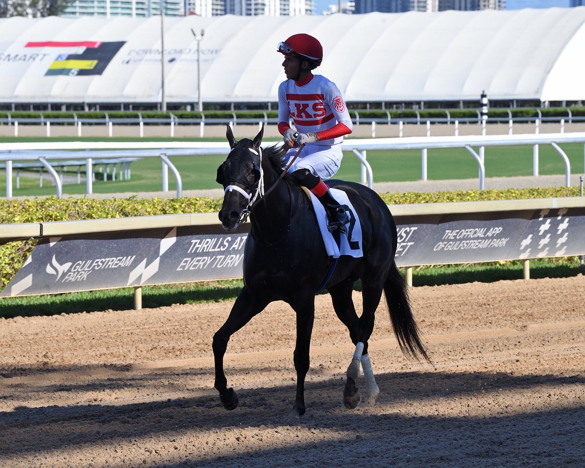 Tricky Tiger #GulfstreamPark #RoyalPalmMeet 

📸 <a href="/RyanFromChicago/">Ryan Thompson</a> • <a href="/coglianesephoto/">Coglianese Photos</a>