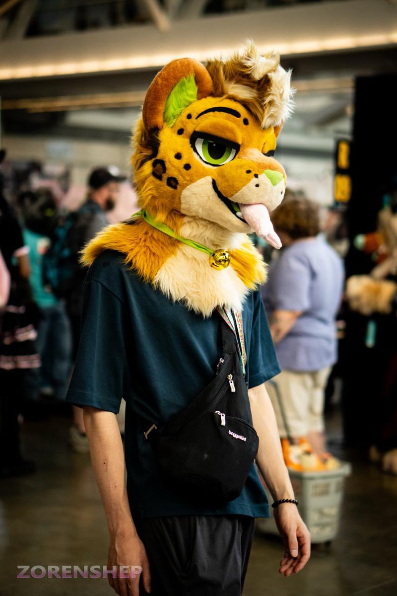 zorenshep (@zorenshep) on Twitter photo had a few times at Anthrocon where I was taking photos of ppl passing by. This was one of them!
Suiter - <a href="/parduspaws/">✨June✨🔜 MP</a> had a few times at Anthrocon where I was taking photos of ppl passing by. This was one of them!
Suiter - <a href="/parduspaws/">✨June✨🔜 MP</a>