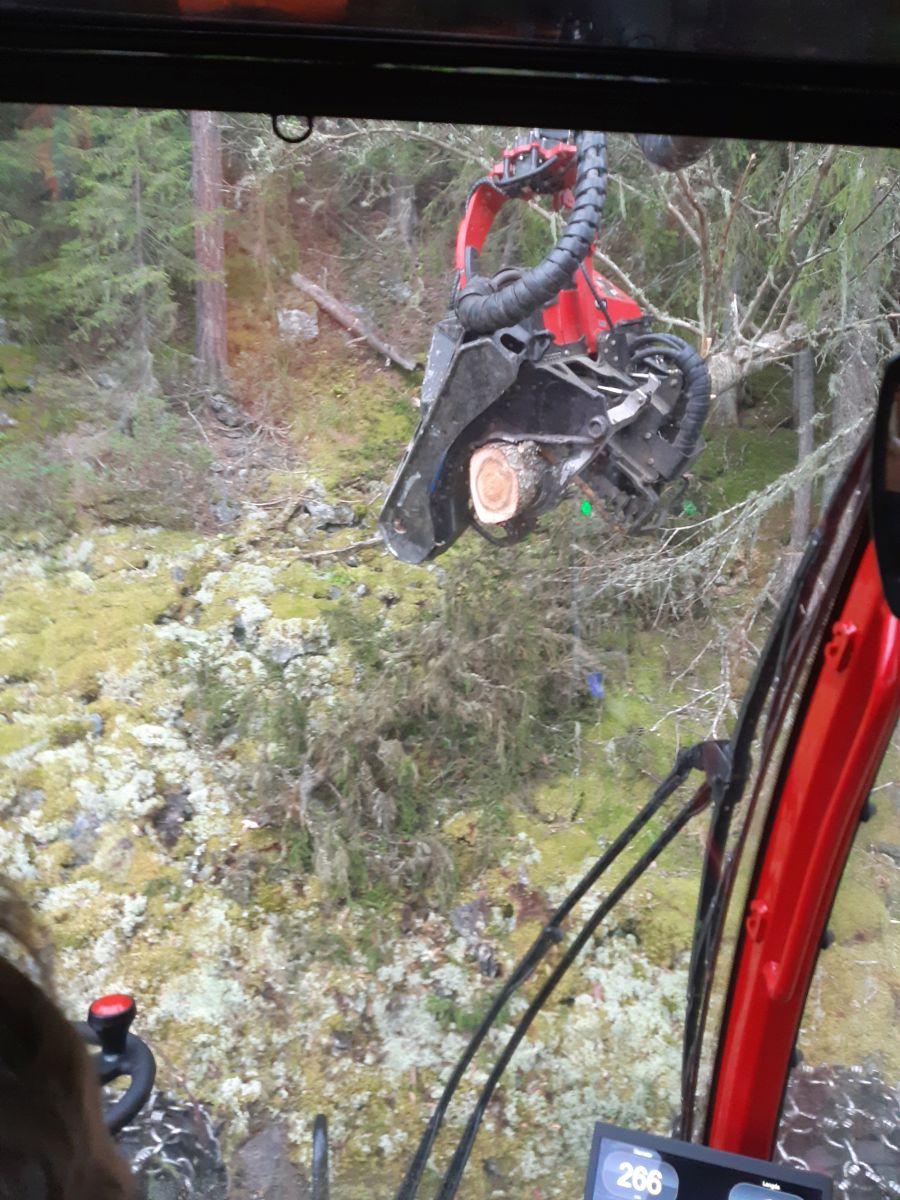 International Journal of Forest Engineering tweet media