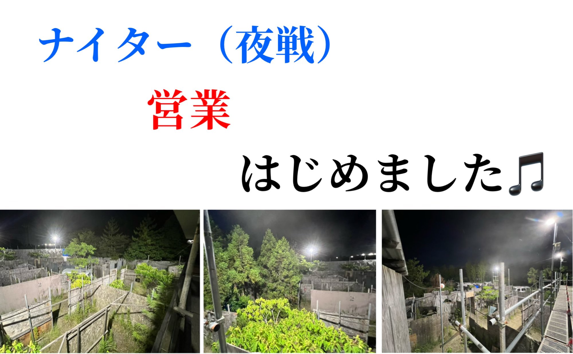 54秋鯖 (@daaki116) / X