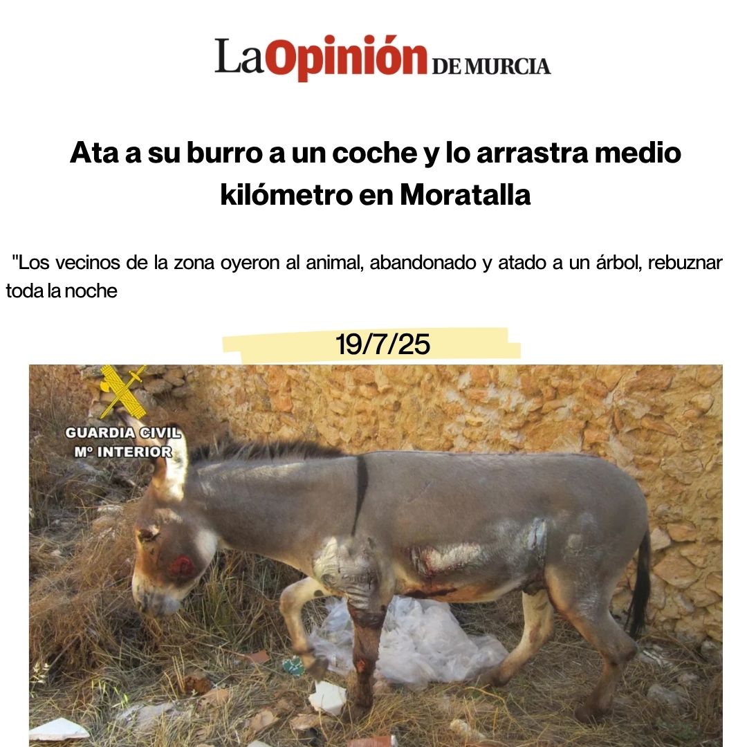 MariaMarinMart's tweet image. Se me rompe el corazón. Espero que caiga todo el peso de la justicia sobre este maltratador.