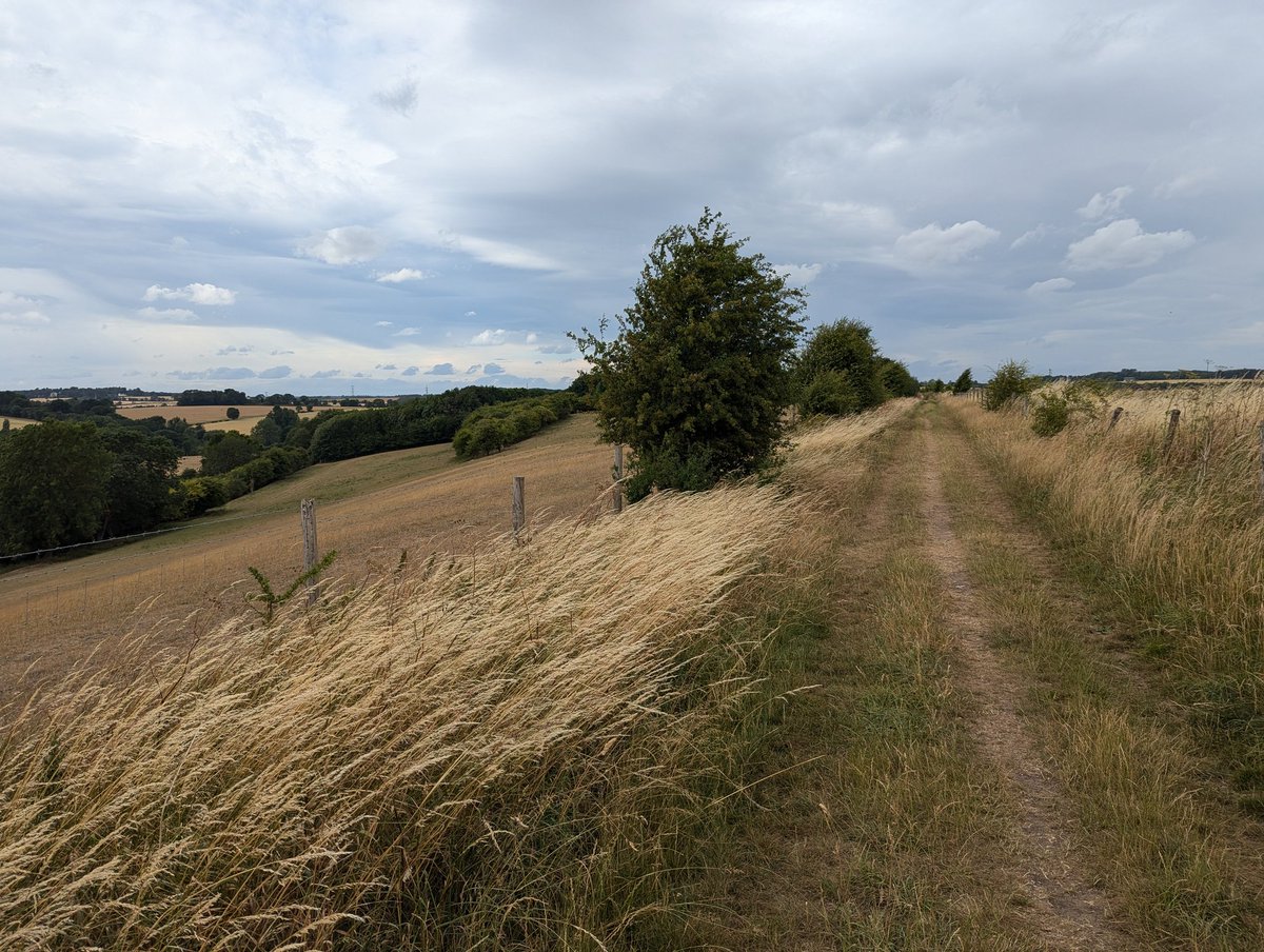catecawley's tweet image. #Medieval #Yorkshire and #TheWarsoftheRoses: York Minster from the walls around the city; Sandal Castle near Wakefield, #battle site 1460; Lead Chapel near Towton, part of the 1461 #battlefield walk; Towton battlefield near Cock Beck #MedievalMonday #history