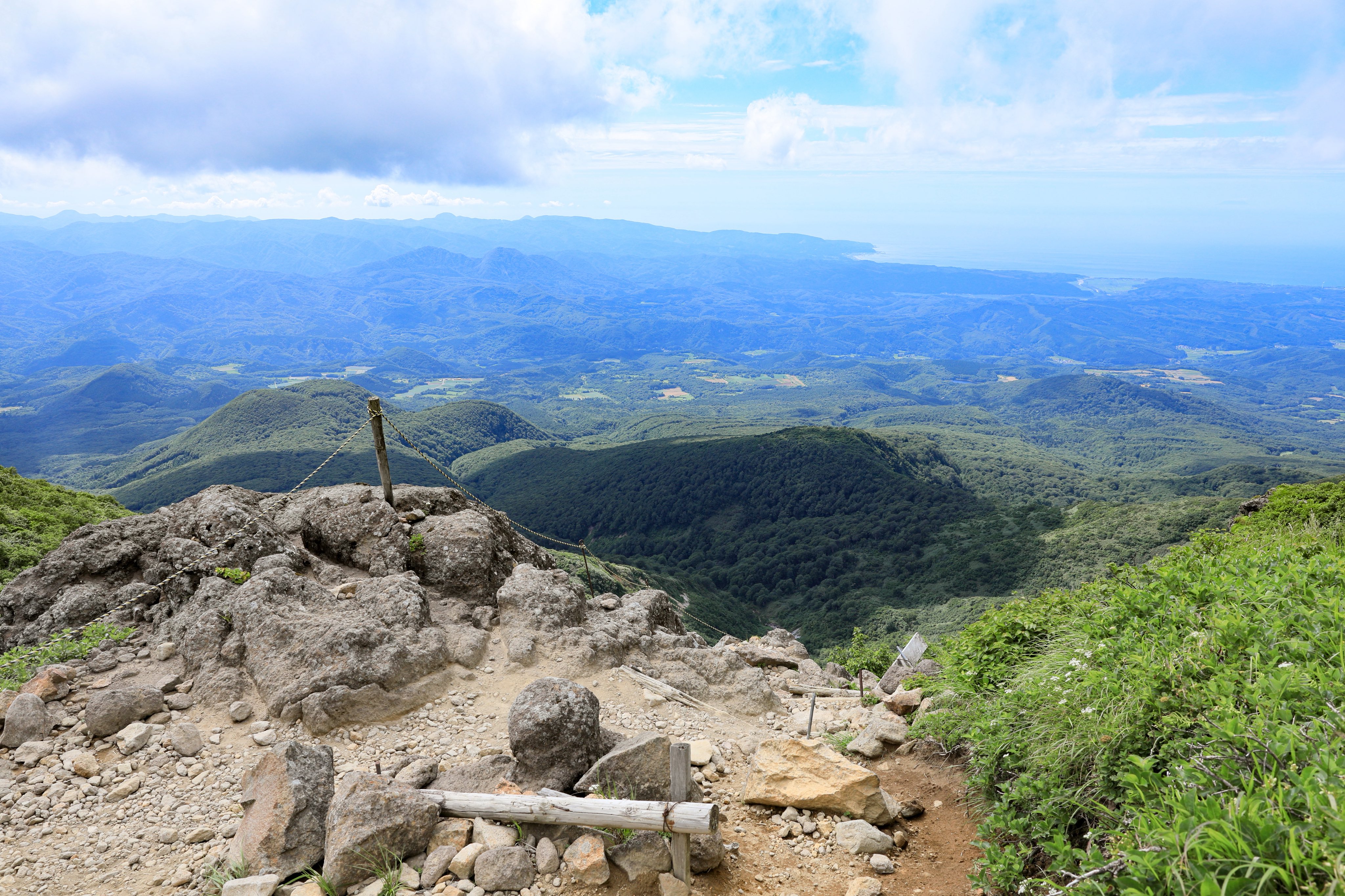 黄色いくまさん様専用 青森県岩木山採取 あけび蔓 70cm～150cm 5kg
