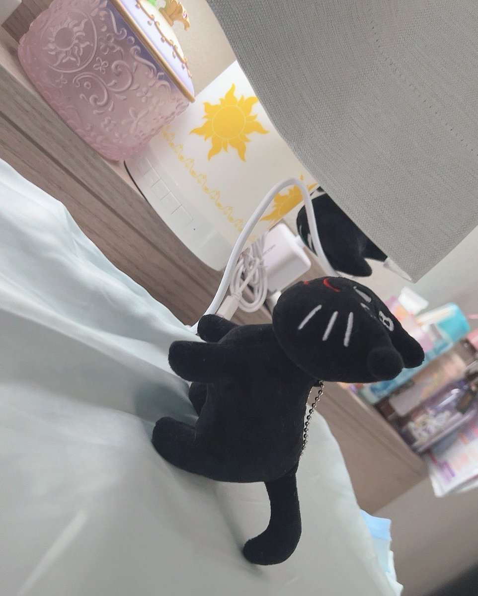 miskey06's tweet photo. こないだ起きたら、キヨ猫が落ちてて器用に立ってた笑
(もう1匹も転落寸前😂)

#キヨ猫 #キヨねこ https://t.co/W1pMAe6DBv