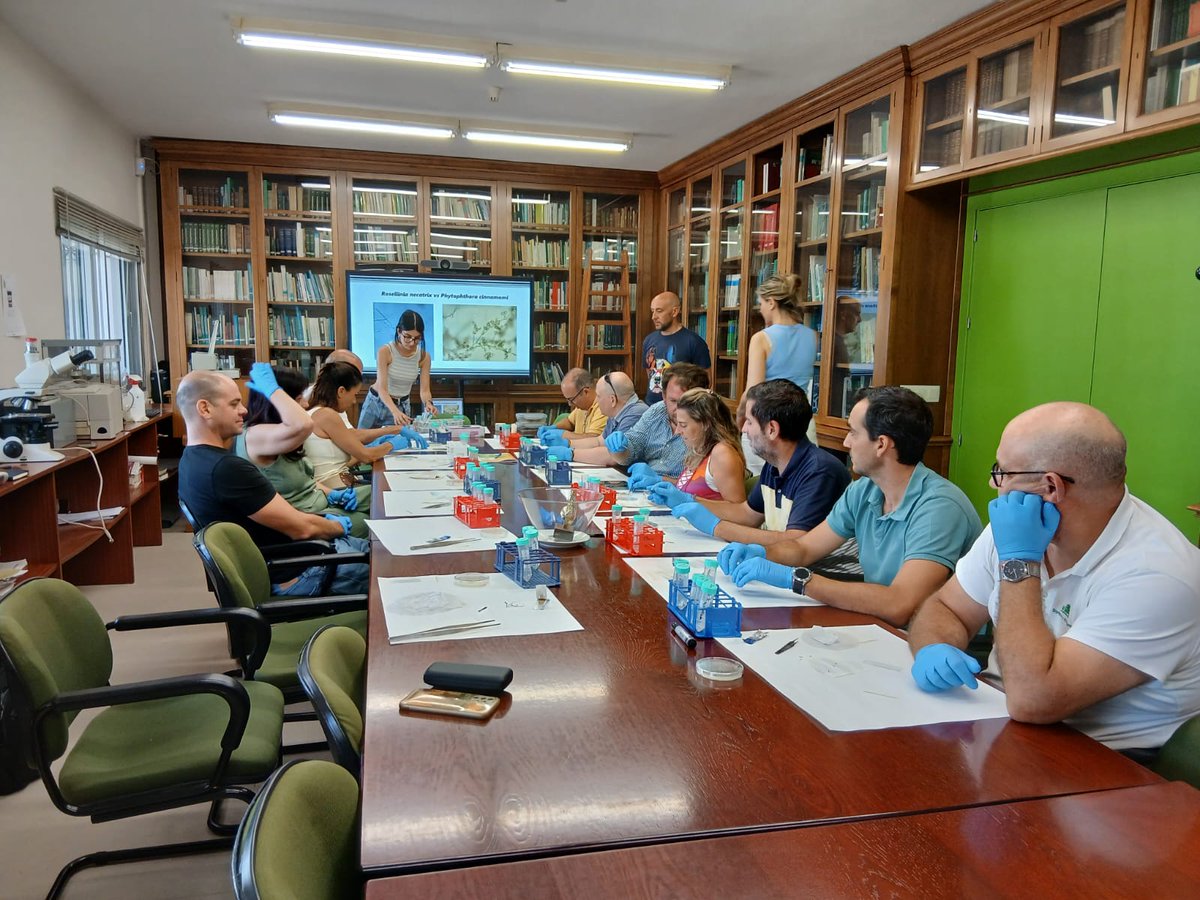 IfapaJunta's tweet image. El #IFAPA imparte en #Málaga un nuevo curso de Producción Integrada en #Aguacate, una formación dirigida a técnicos del sector para cualificarlos según la normativa🥑
Ya se han formado 55 técnicos desde la publicación del Reglamento Especifico en estos cursos del IFAPA🌱