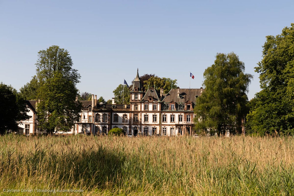 📍Fin de l’alerte vents forts
Réouverture des grands parcs et des cimetières municipaux (parcs de Pourtalès, Orangerie, Contades, Citadelle, Schulmeister et Albert Schweitzer, ainsi que les cimetières municipaux)