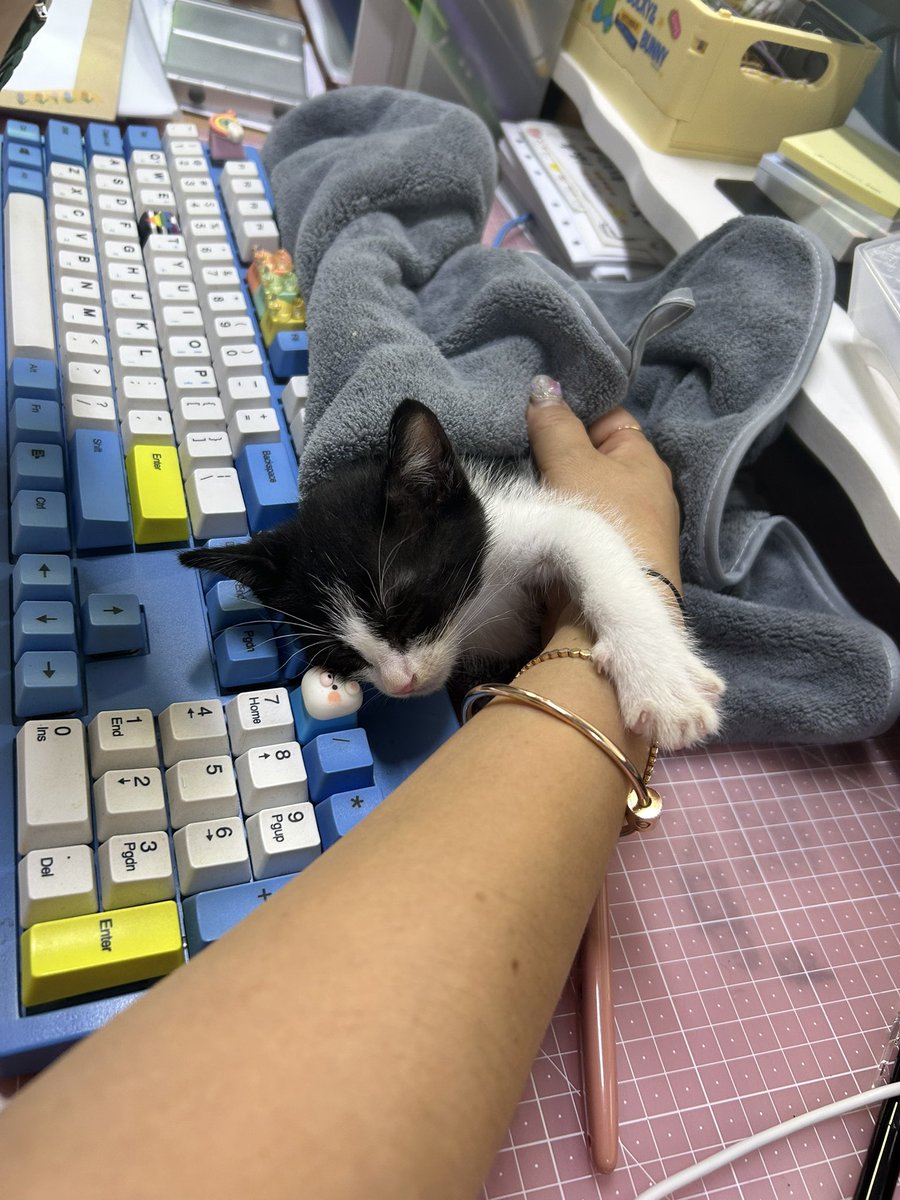 든콜 사무실에서 공동 육묘 중이에요