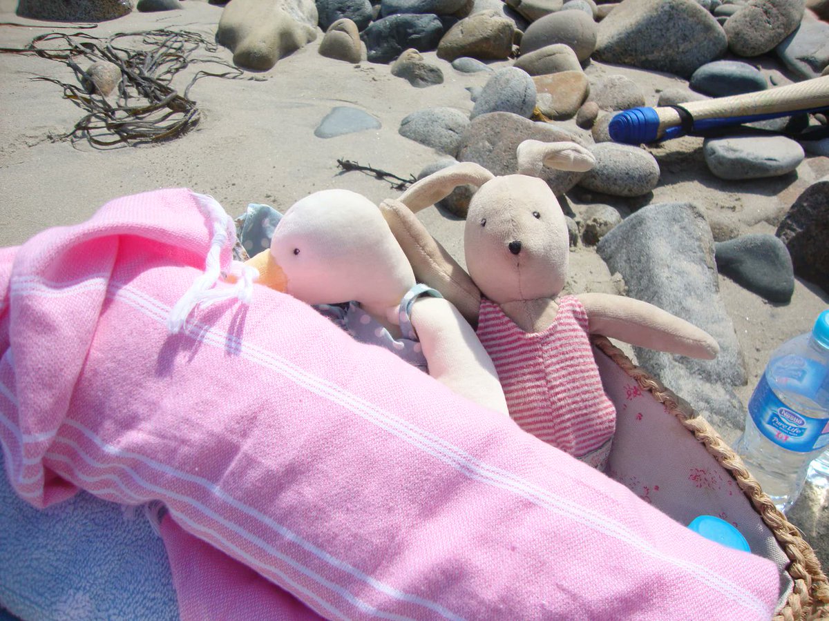 CottontailsBaby's tweet image. As the summer holidays get underway, I'm going to share some summery things thing week.... And to begin with, let's have a day on the beach with Jeanne and Sylvain!