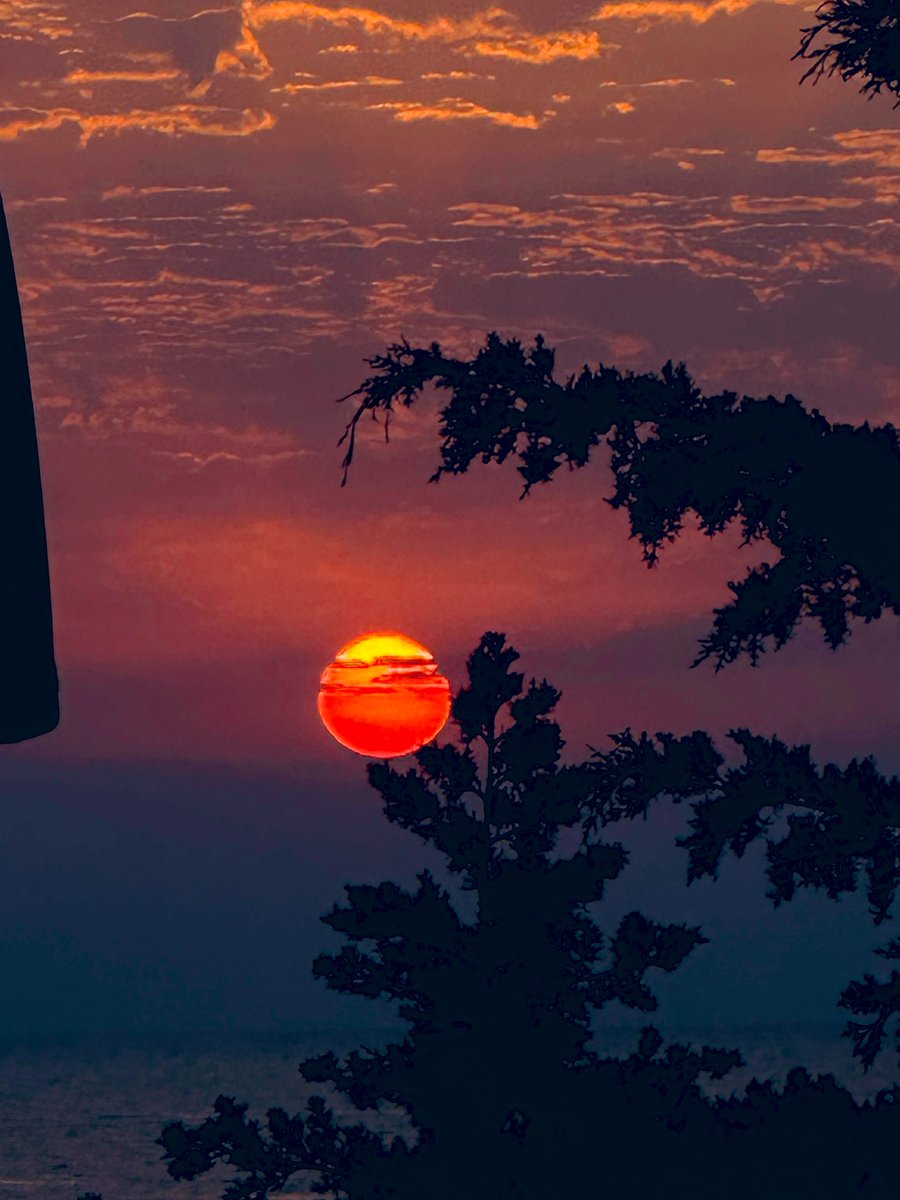 Jasmin🫧 tweet media