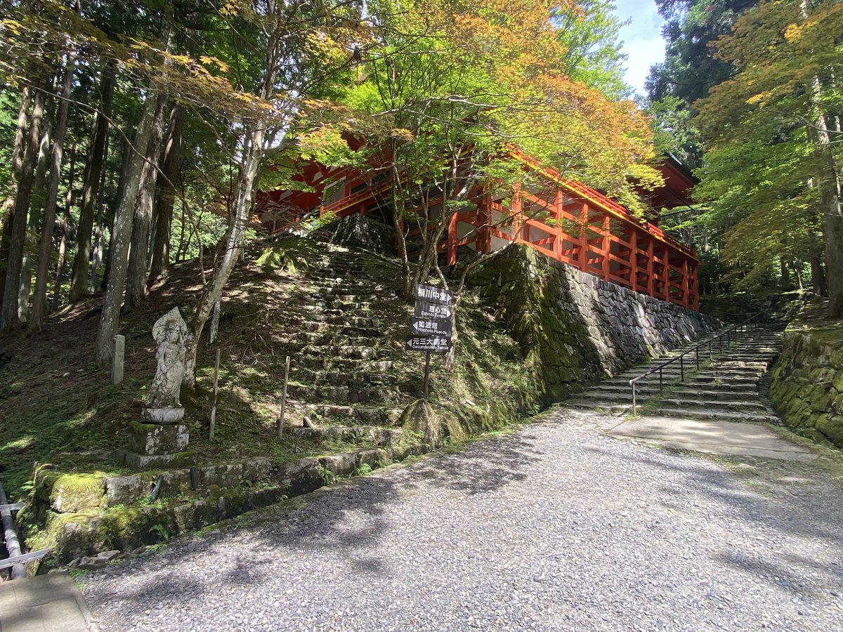 xyz_umikaze's tweet image. ただいまー♪
横川→西塔→東塔と回ってきた
よく歩いたのでスタミナが2アップした↑
バスに乗ったら頭にハチがとまっていて
びっくりしました🐝
ハチもびっくりしたと思う。ごめんね。