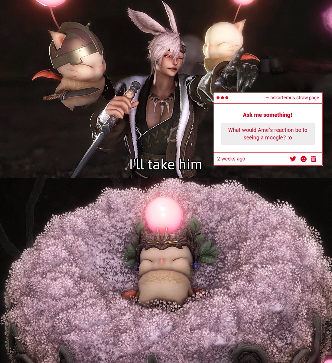 ame_t_xiv's tweet image. He'd pick the biggest one to eat
(jks - they're too fluffy and their meat isn't particularly tasty apparently. TY Anon for the question!)
#askame