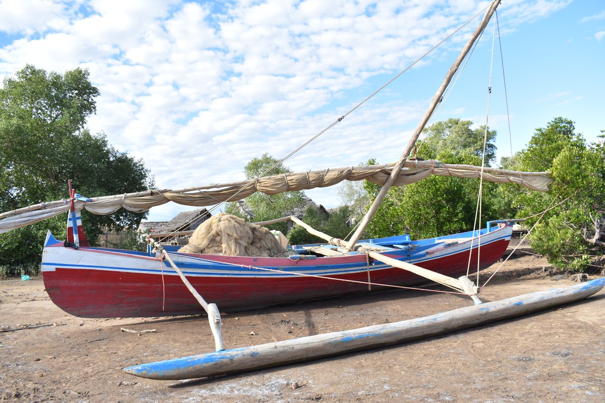SWIOFC_News's tweet image. The Scientific Committee of the South West Indian Ocean Fisheries Commission is holding its 12th Session in Antananarivo, Madagascar🇲🇬, from 21 to 25 July 2025 reinforcing regional DATA, EVIDENCE & informed fisheries MANAGEMENT.
#SWIOFC #SustainableFisheries #SWIOFish5 #FAO