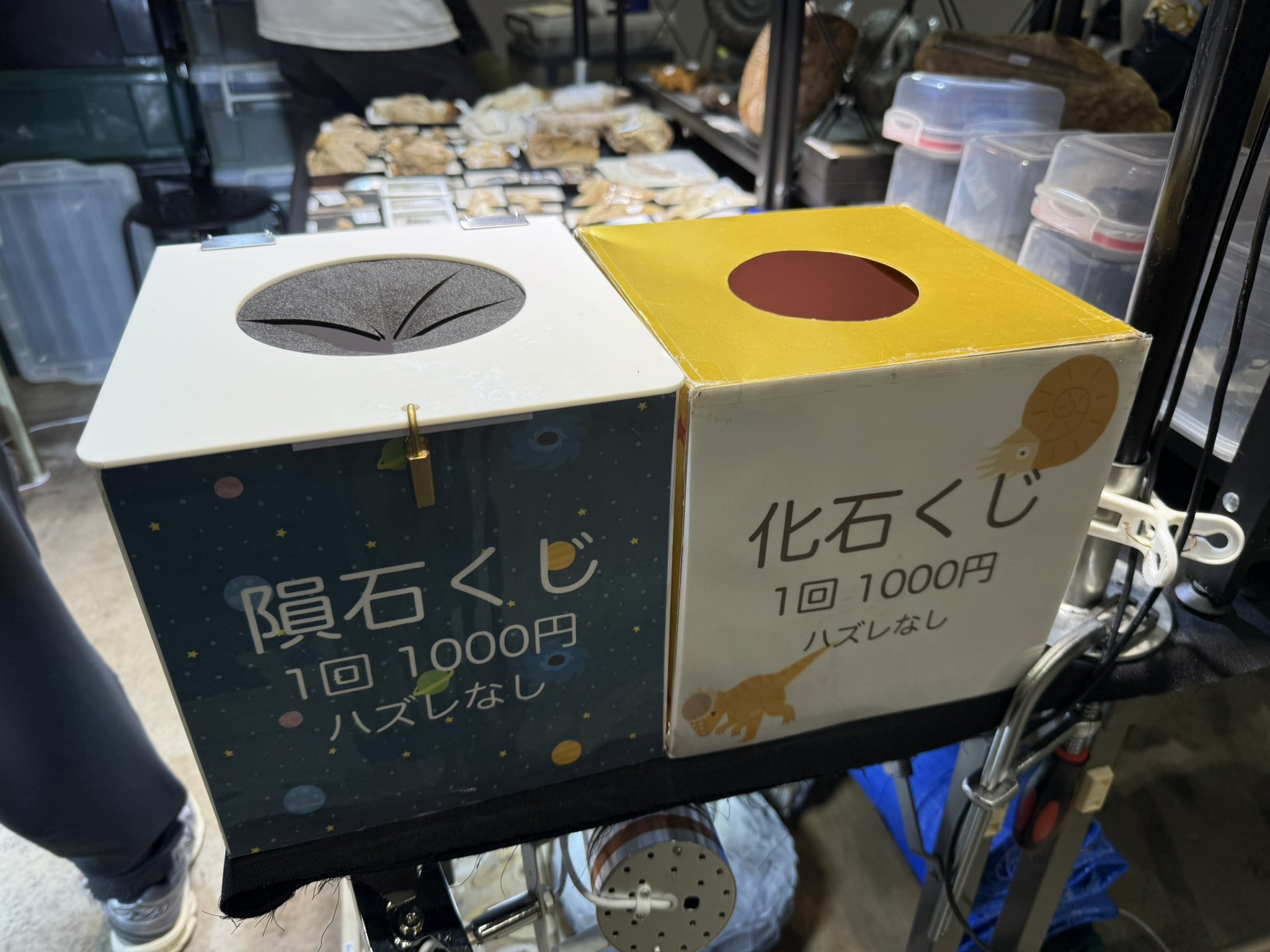 紀元前2200年★隕石★ボックス★ダストカード★5★宇宙★カンポデルシエロ★ 楽天市場】カンポ・デル・シエロ 隕石 ルースケース入り・台紙