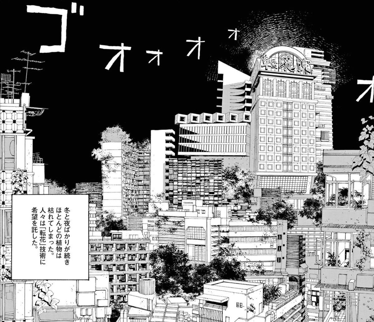 foolnight1's tweet image. 【この世界には、“夜”しかない。】
100年後の地球。
人は植物になることで、酸素を得て、生きることを選んだ。
それを“希望”と呼ぶには、あまりにも静かで、重すぎる。
📗『フールナイト』第1〜10集 好評発売中
📘最新第11集、7月30日発売
#フールナイト #スペリオール #ビッグコミックス