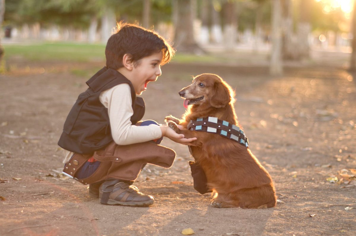 doginsightlab's tweet image. A child runs. The dog chases.
Everyone laughs.
Until someone cries.
Play between dogs and kids looks innocent, but it’s loaded with signals: Missed cues, rising tension.
Supervise. Slow it down.
Teach both sides consent and calm.
Safe play isn’t just fun.
It’s foundational.