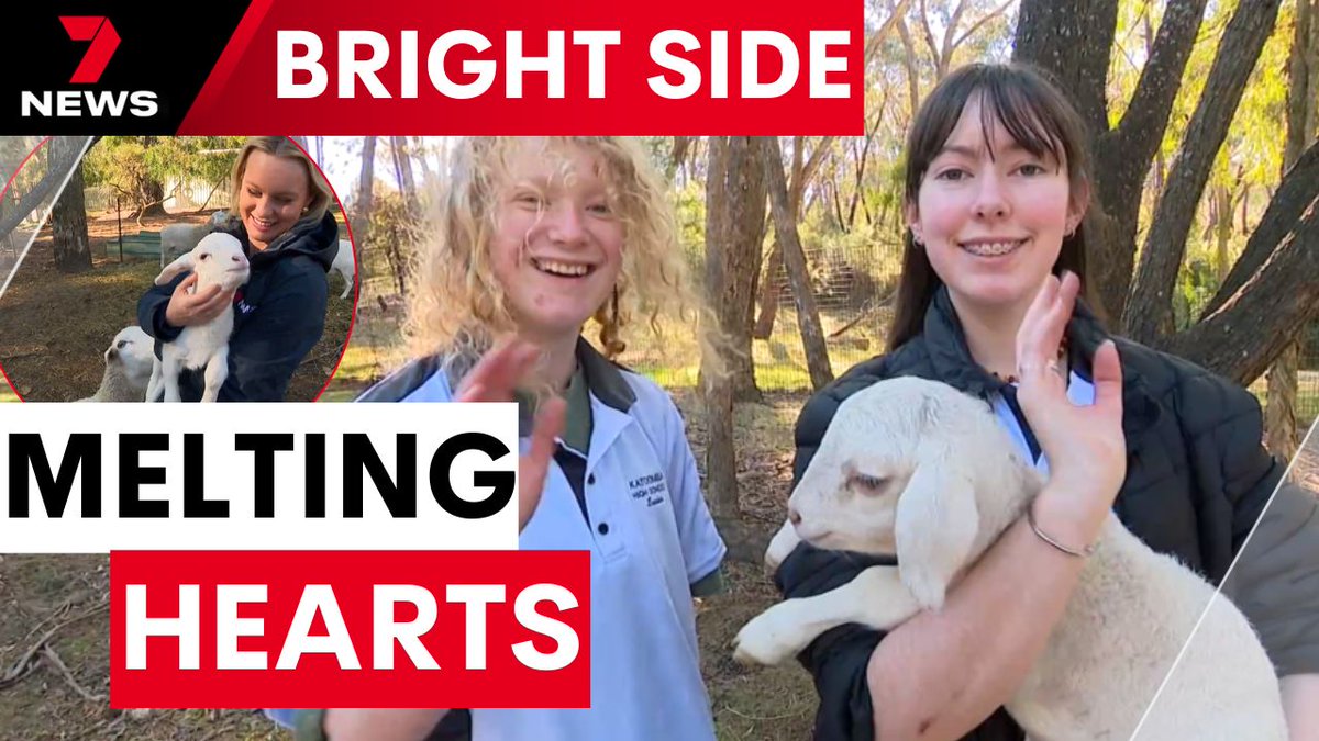 7NewsSydney's tweet image. Teen farmers at Katoomba High are learning life lessons no textbook can teach, with a newborn lamb on the school鈥檚 farm melting hearts and teaching care, hard work, and responsibility. youtu.be/Njba5EAYu1I #7NEWS