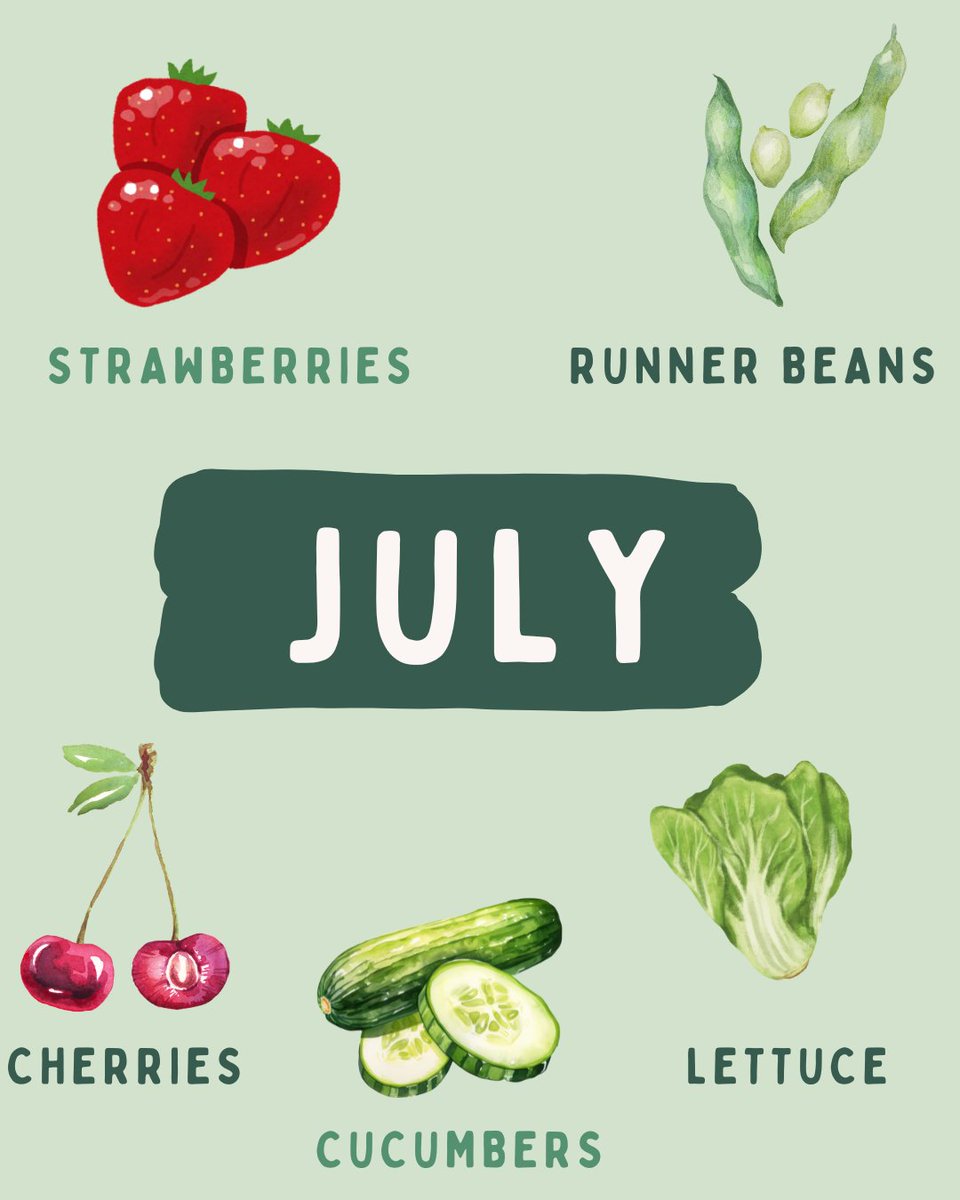 RecycleHants's tweet image. 🥕 Eating seasonally = fresher food + a happier planet 🌍
✅ Tastier & more nutritious
✅ Supports local farmers
✅ Lower carbon footprint
✅ Often cheaper!
Check what’s in season this summer & give it a go!
#EatSeasonal #HampshireRecycles #EcoTips