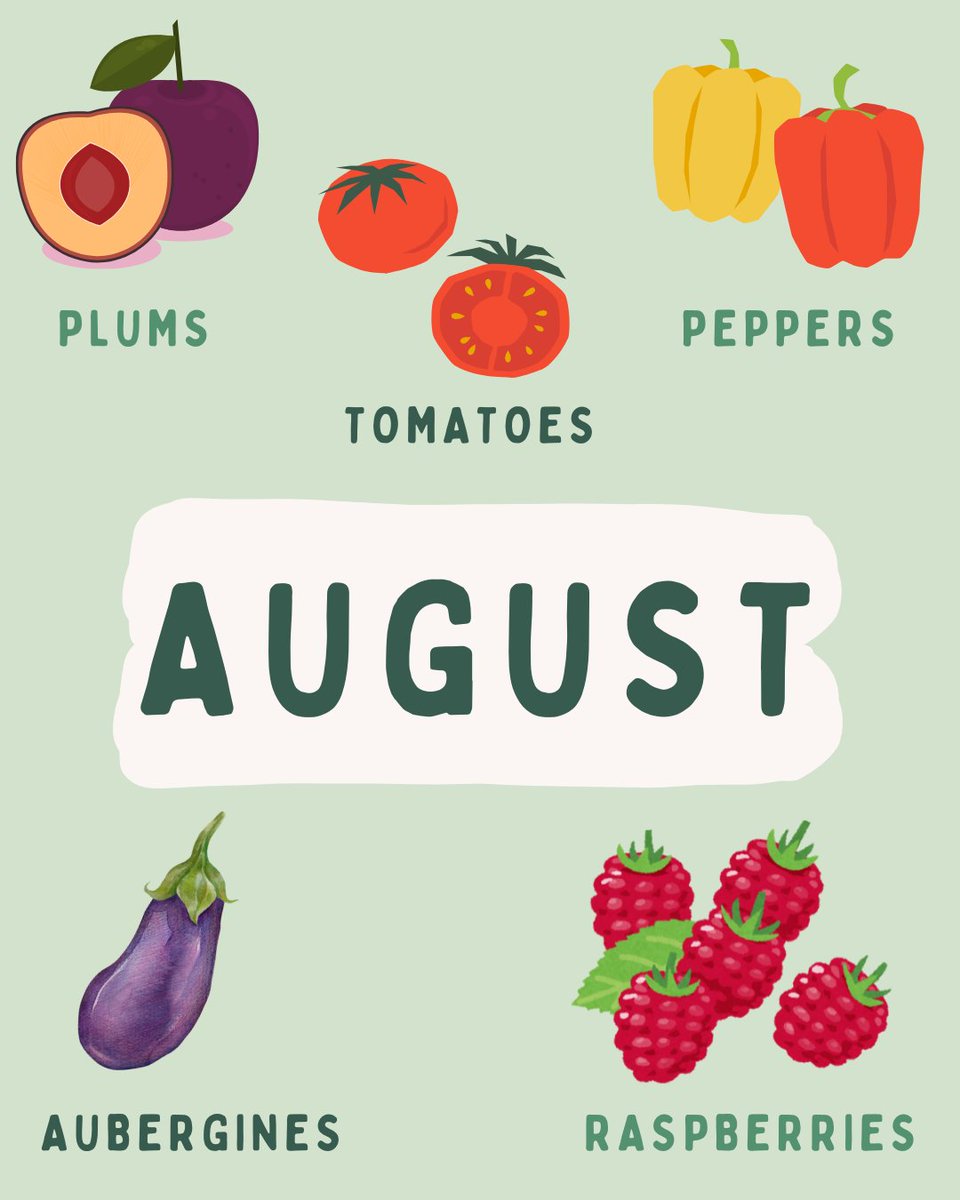 RecycleHants's tweet image. 🥕 Eating seasonally = fresher food + a happier planet 🌍
✅ Tastier & more nutritious
✅ Supports local farmers
✅ Lower carbon footprint
✅ Often cheaper!
Check what’s in season this summer & give it a go!
#EatSeasonal #HampshireRecycles #EcoTips
