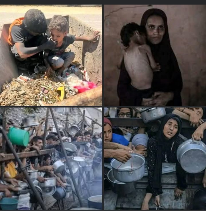 اتدرى من جاع اليوم ياعمر.  ! 
لقد جاع كرام قومنا ونحن امه تفوق المليار انسان،،،، 💔