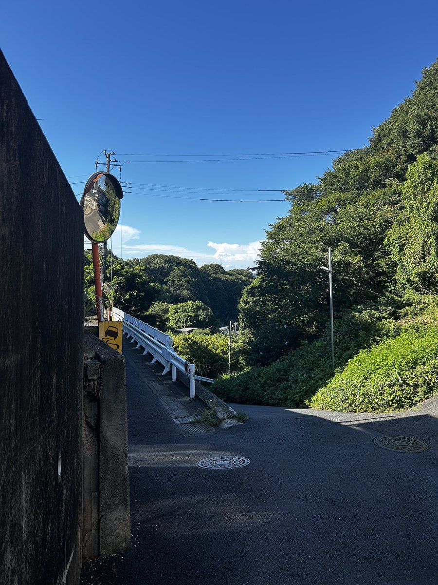 scott_first's tweet image. 夏本番ですね🍉
来週は最高気温37°行くらしい
干からびちまう