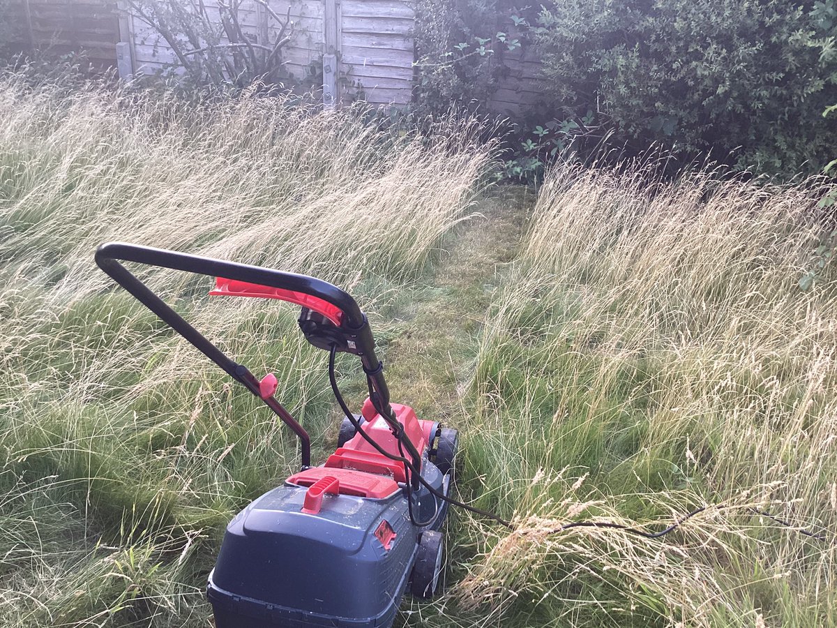 RealTimVine's tweet image. If I mow one strip of my lawn each day it would probably end up looking like a graded haircut because the grass would keep growing. The last strip would be the shortest and it would go up from there. The trouble is I’ve ruined the experiment by cutting this strip in the middle.