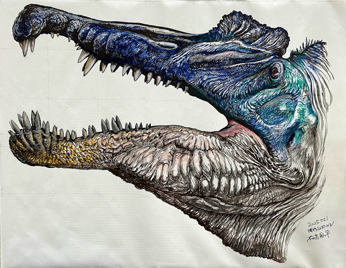 #博物ふぇす　C39科学画研

実物大スピノサウルスのライブペイント

終了間際に描き終わりました。
たくさんお越し頂きありがとうございました！