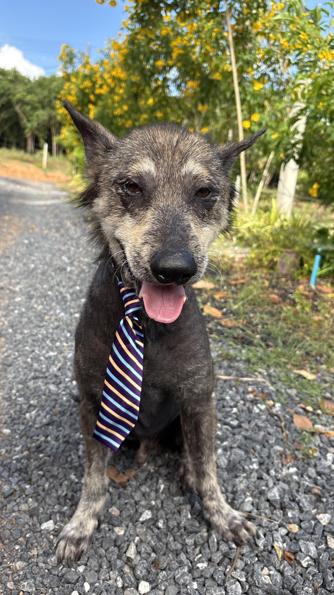 วันจันทร์ผ่านไปแล้ว โพรเซกโก้ มีทบอล กับ ซอนนี่ มาให้กำลังใจพี่ๆกัน ขอให้วันนี้เป็นวันที่ดีนะคะ เลิกงานแล้วกลับบ้านดีๆนะ ❤️