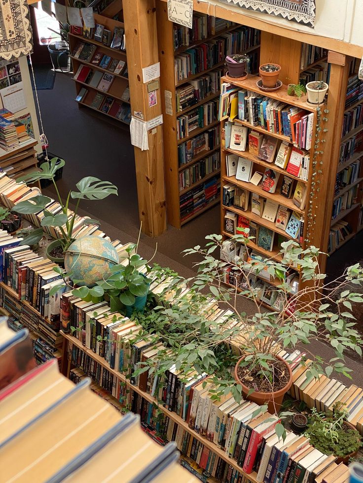 AcademiaDreams's tweet image.