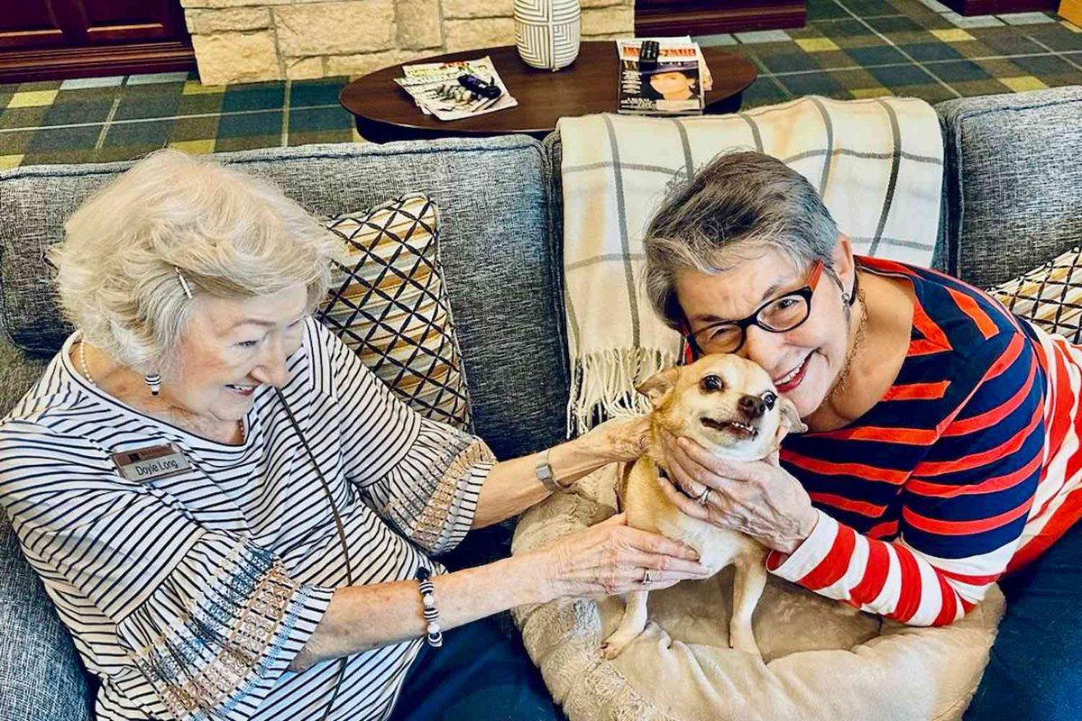doginsightlab's tweet image. Dogs can be lifelines for seniors: routine, purpose, connection.
But not every dog fits every season of life.
A strong, anxious, high energy dog can overwhelm.
A gentle one can soothe arthritis, soften grief, ease the quiet.
The match matters. Peace should go both ways.