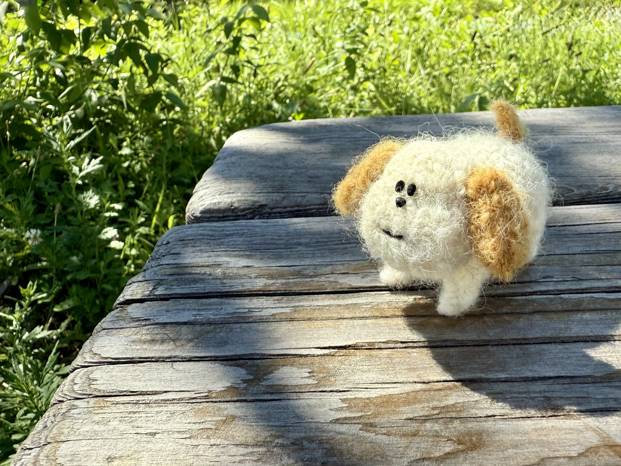茶々丸羊毛フェルトさん、専用です。 柴犬♡ 茶々丸ちゃん❤ 制作中③ | ざくざく♡羊毛フェルト