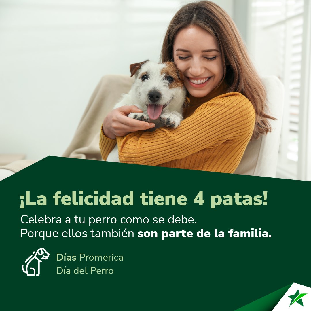 Celebramos a nuestros amigos de cuatro patas, fieles, amorosos y siempre listos para dar alegría.

¡Feliz día del perro!