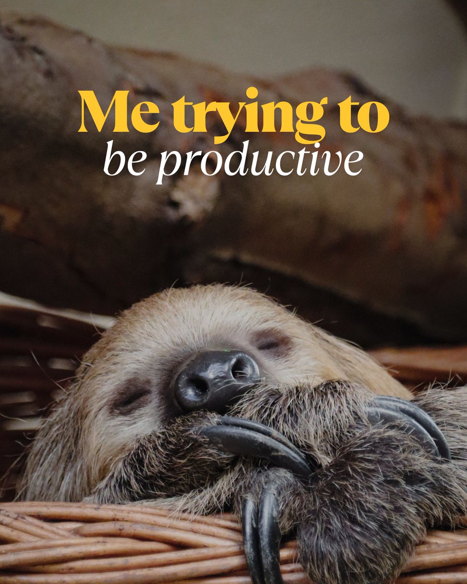 Hang in there, Bison. Coffee helps.

#MondayMood #GoBison