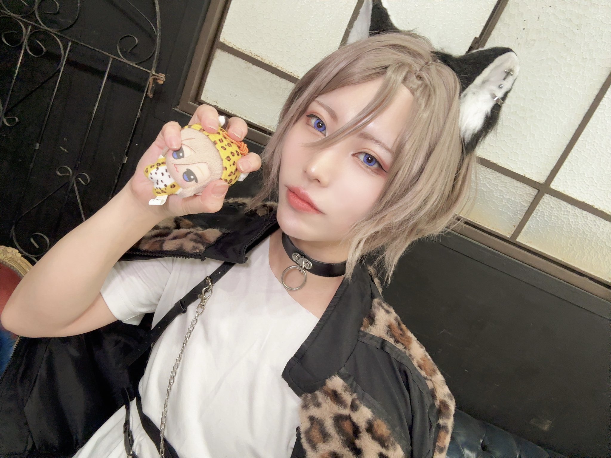 もふもふ満夏カンパニー - Cerca / X