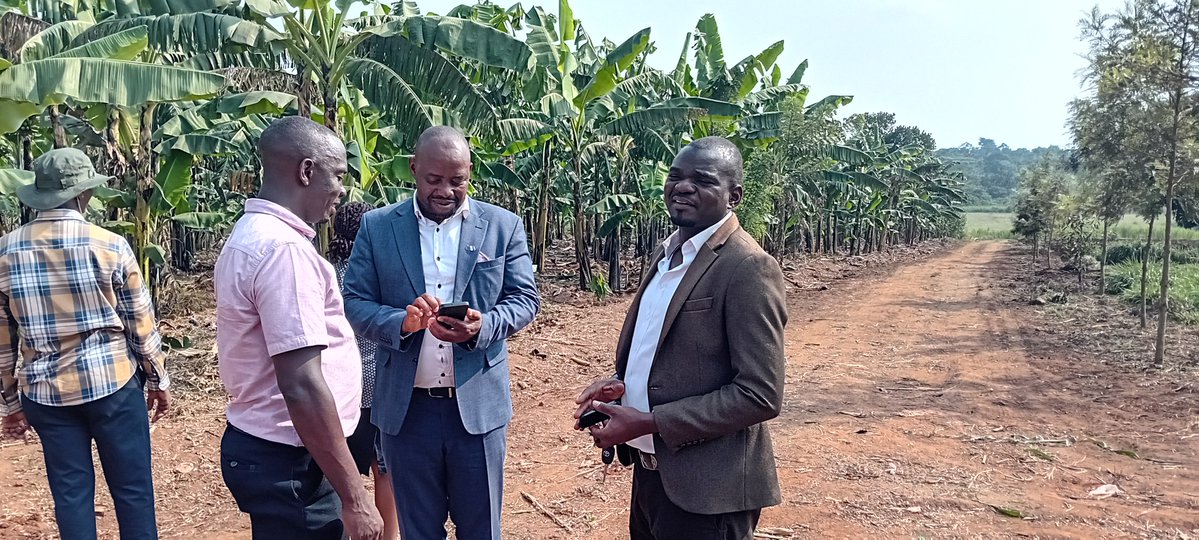 Mayorwalusimbi's tweet image. Today, i joined @BugandaKingdom_ @Essaza_Kyaggwe Dep. Ssekiboobo Mr Katende to inspect the Agromixed Farm 🚜 owned by Mr Seguya in Makukuba Ward of Nakifuma-Naggalama TC.
This is all in preparation to Host Katikkiro Charles Peter Mayiga in Mukono District tomorrow.