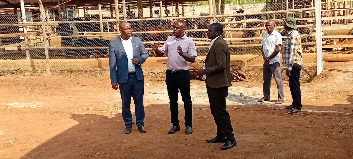 Mayorwalusimbi's tweet image. Today, i joined @BugandaKingdom_ @Essaza_Kyaggwe Dep. Ssekiboobo Mr Katende to inspect the Agromixed Farm 🚜 owned by Mr Seguya in Makukuba Ward of Nakifuma-Naggalama TC.
This is all in preparation to Host Katikkiro Charles Peter Mayiga in Mukono District tomorrow.