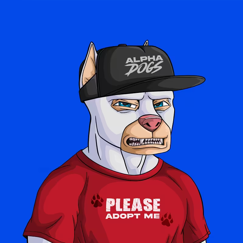 NaNa The Ape (@nanatheape) on Twitter photo Scooped up an <a href="/ApeAlphaDogs/">ALPHA DOGS ON APE</a> . I see the Dogs showing up everywhere.
How did I do? Scooped up an <a href="/ApeAlphaDogs/">ALPHA DOGS ON APE</a> . I see the Dogs showing up everywhere.
How did I do?