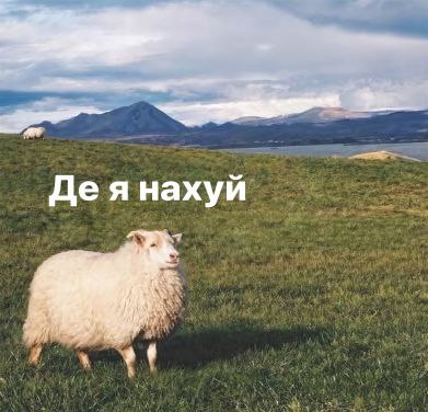 romurioni's tweet image. Відбувся мем. Заблукав в метрограді перший раз. Хотів просто перейти Хрещатик, а вийшов блять майже на Троєщині