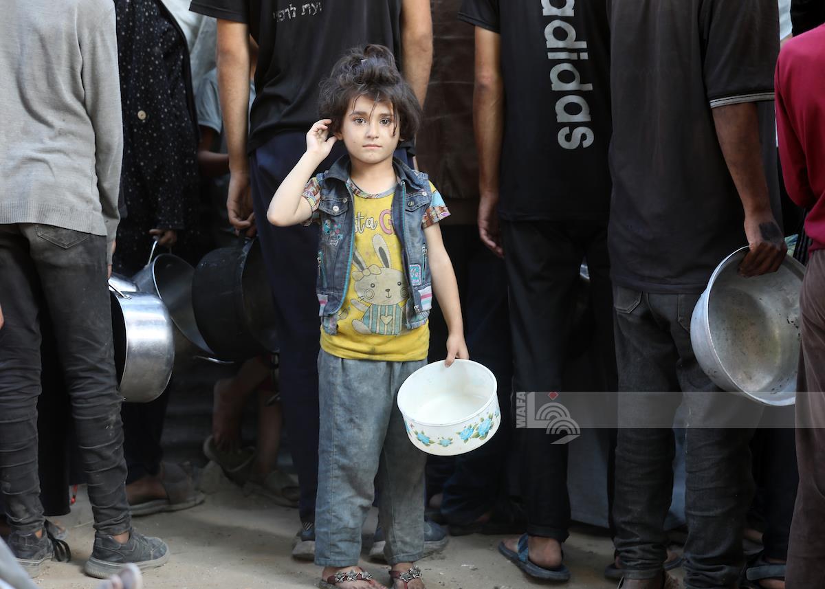 IrePalestine's tweet image. Since May 27th at the so-called Gaza Humanitarian Foundation aid centres:
🔸at least 995 Palestinians have been killed
🔸over 6,000 injured
🔸45 people reported missing
In the past 24 hours, starvation has killed 18 Palestinians.
The total number of deaths caused by hunger and…