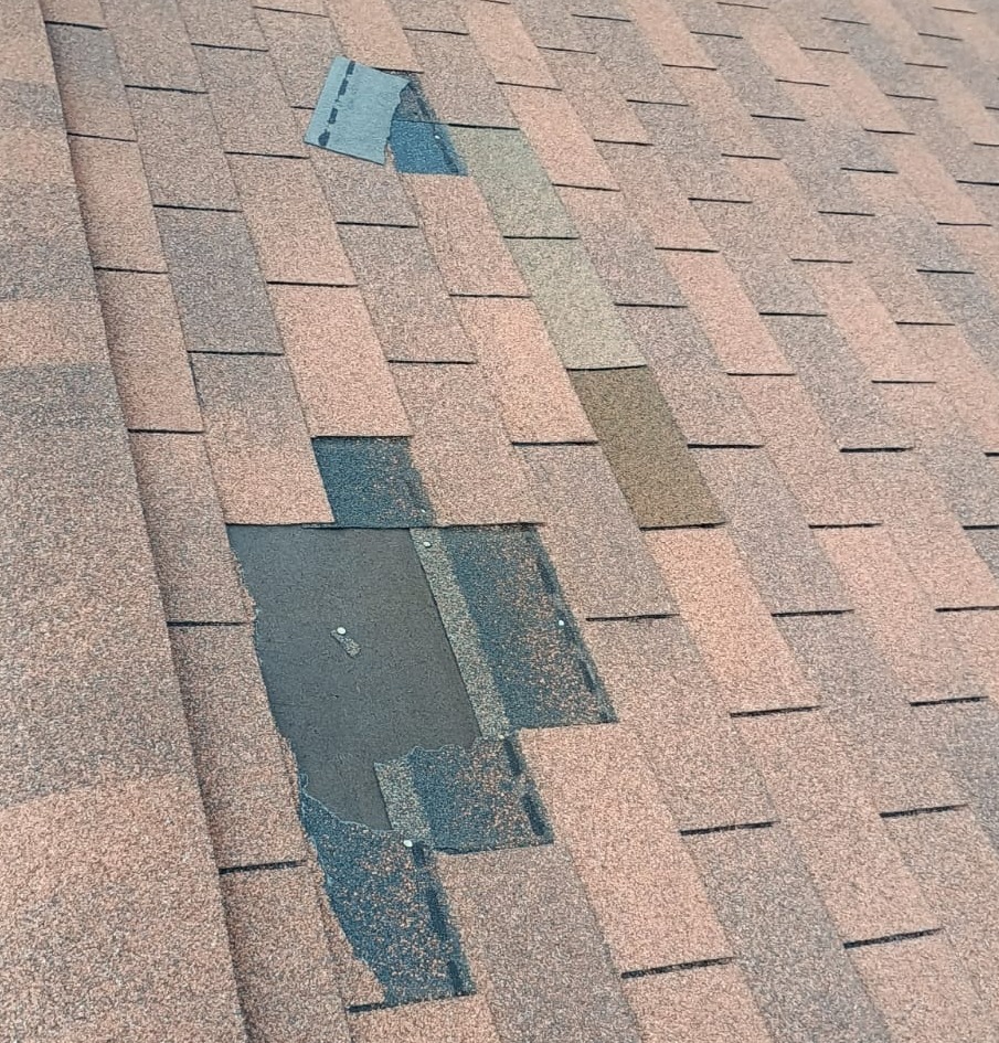 gnsroof's tweet photo. Roof leaking after just 1 year? 🏚️
You may have cheap 3-tab shingles instead of architectural shingles.

3-tab = lower cost, but shorter life &amp; less weather resistance.
Architectural = stronger, lasts longer, better value.

📞 Call us today! [540-837-5042]
#RoofingTips https://t.co/cM3q2mZdzK