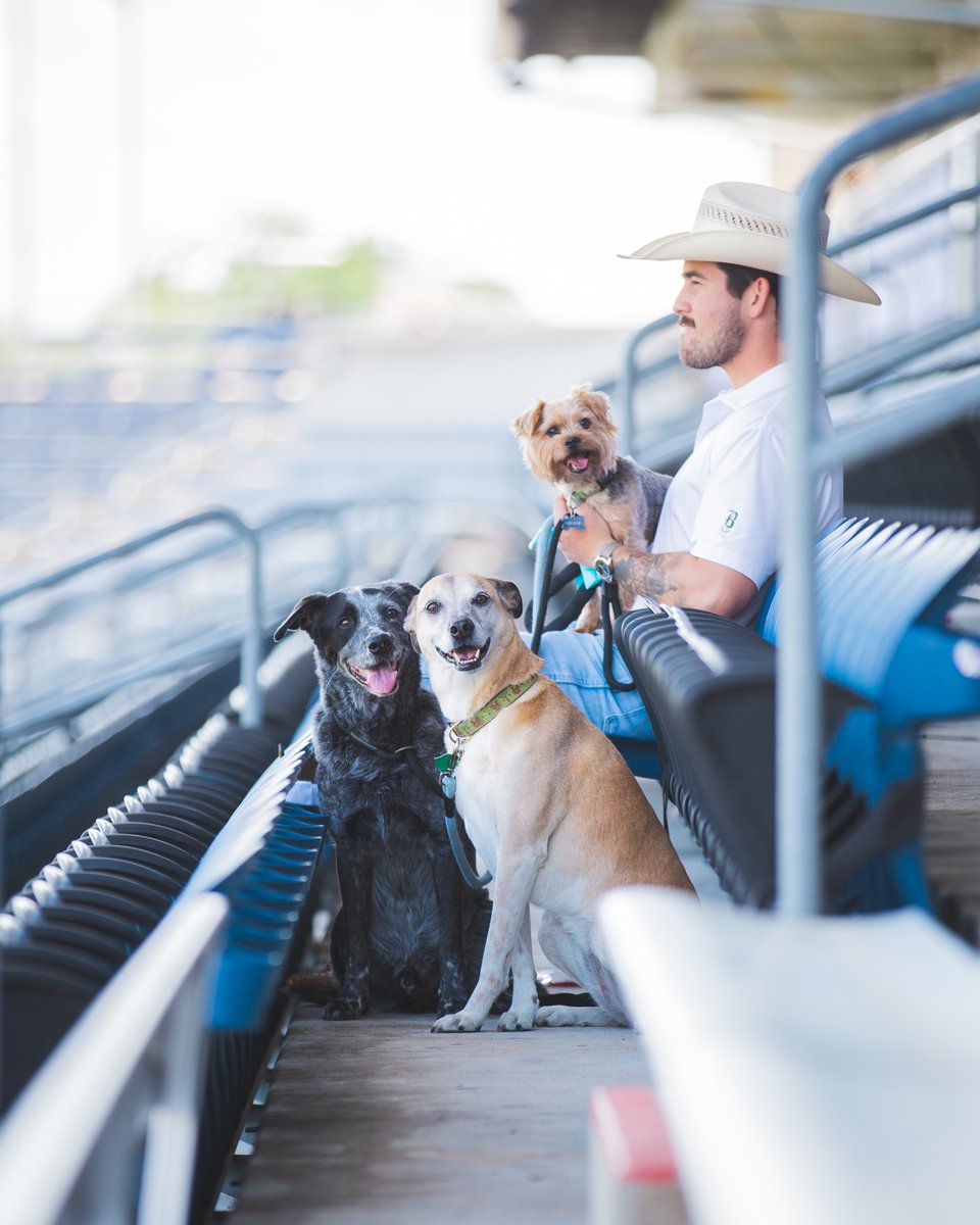 theChicagoStars's tweet image. Last year’s Bark in the Park was pawsitively iconic. Let’s do it again August 1 😉🐾
🐶: mpv.tickets.com/schedule/?agen…