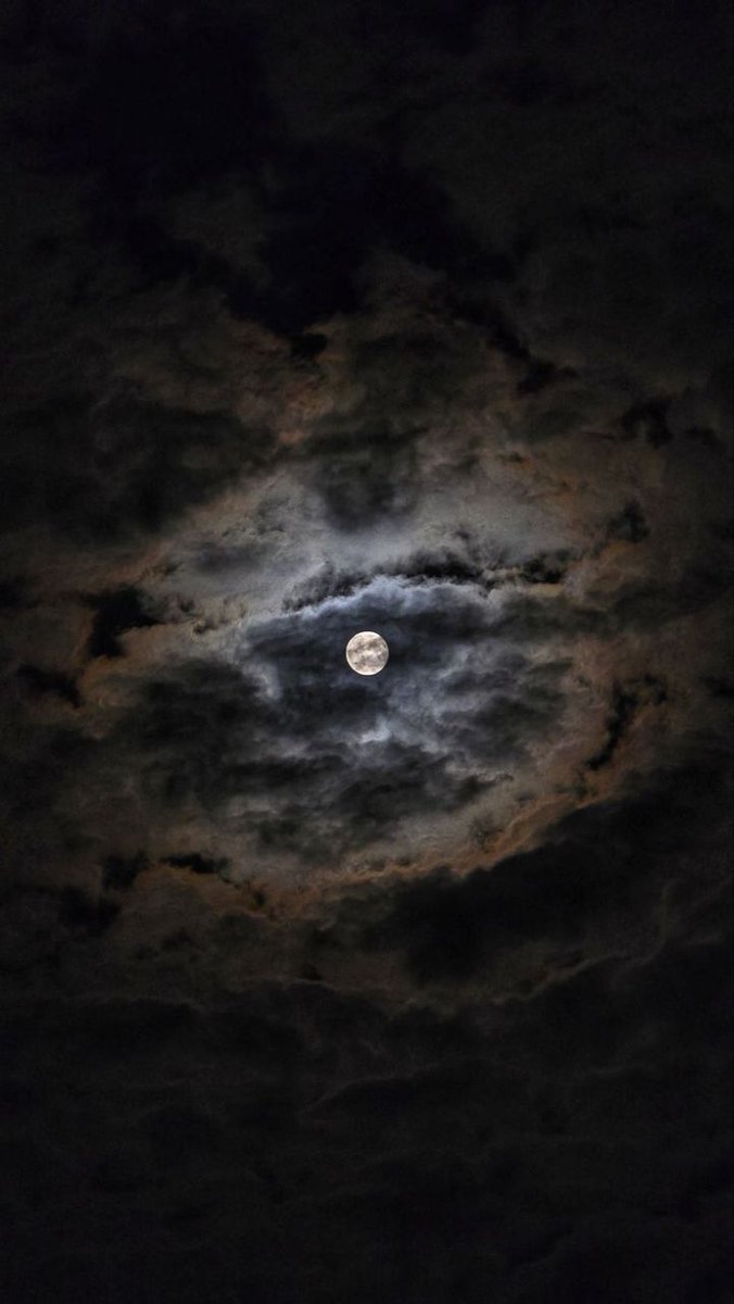 Hail Máni <a href="/BklineBetty/">Liz M Edgington🇬🇧🇨🇦</a> <a href="/MyLustForBlood/">🖤Petra🖤ᛈᛖᛏᚱᚨ🖤</a> <a href="/DannielaGeomar/">Danniela Geomar Neri</a> <a href="/ValhallaIrina87/">ᛁᚱᛁᚾᚨ</a> <a href="/SannizL/">🕸🖤☥ Sanniz ☥🖤🕸</a> <a href="/rockyisaacson/">Víkíngr Röcnår</a> <a href="/Valhallawulf/">Wulf</a> <a href="/voorhees_78/">D.Voorhees..🇺🇸</a> <a href="/MightySigurd/">Sigurd the Mighty</a> <a href="/MattBas25986668/">Matt Bass(AKA)Thorfin</a> <a href="/OSSIFER2109/">OSCAR \m/</a> <a href="/BloodOnBlack/">🩸SeaN🩸</a> <a href="/odin_key/">Odin's Key𓄿</a> <a href="/WolfofOdin420/">⚒️ A Wolf of Odin ⚒️</a> <a href="/THakoning/">Torfast Hakoning 🪓🍻🏴󠁧󠁢󠁳󠁣󠁴󠁿🇳🇴</a> <a href="/GUNNOLF1/">GÜNNÖLF</a> <a href="/vikingverse/">Vikingverse</a>