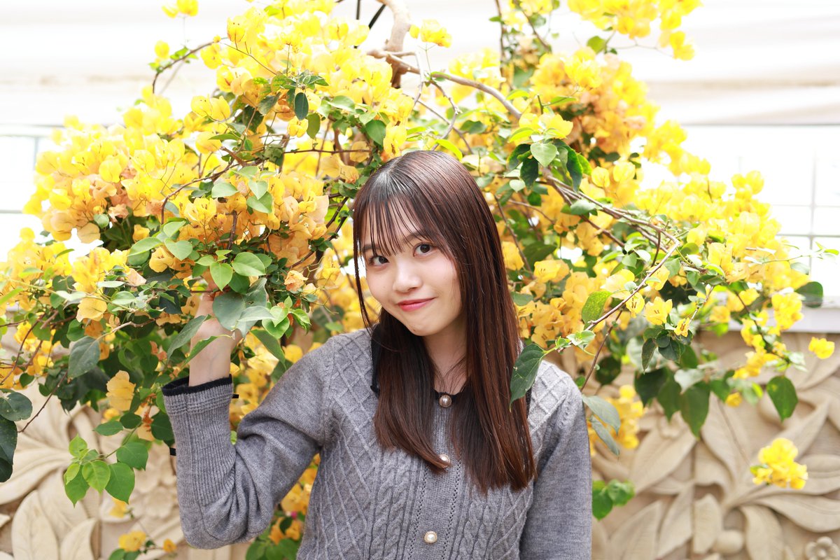 ๐ฐ๐๐ฏ๐ปใกใพ๐๐๐๐ (@chima0402) on Twitter photo ใใฃใจไผใใใใใฎๆฐๆใกใ
2025.04.29
ไน
็็ฑณใใผใฒใณใฎๆฃฎใซใฆ
model๏ผ่ตใใๆง
#ใใจใๆฎๅฝฑไผ
#ๅฏๆใใๆใใใ
#ๅ็ใงไผใใ็งใฎไธ็
#ใขใใซใใใจ็นใใใใ
#ใใผใใฌใผใๅฅฝใใชไบบใจ็นใใใใ
#ใใผใใฌใผใ
#ใใกใคใณใใผ่ถใใฎ็งใฎไธ็
#่ขซๅไฝใใใจ็นใใใใ
#ใใใฌใฎใปใซใค ใใฃใจไผใใใใใฎๆฐๆใกใ
2025.04.29
ไน
็็ฑณใใผใฒใณใฎๆฃฎใซใฆ
model๏ผ่ตใใๆง
#ใใจใๆฎๅฝฑไผ
#ๅฏๆใใๆใใใ
#ๅ็ใงไผใใ็งใฎไธ็
#ใขใใซใใใจ็นใใใใ
#ใใผใใฌใผใๅฅฝใใชไบบใจ็นใใใใ
#ใใผใใฌใผใ
#ใใกใคใณใใผ่ถใใฎ็งใฎไธ็
#่ขซๅไฝใใใจ็นใใใใ
#ใใใฌใฎใปใซใค